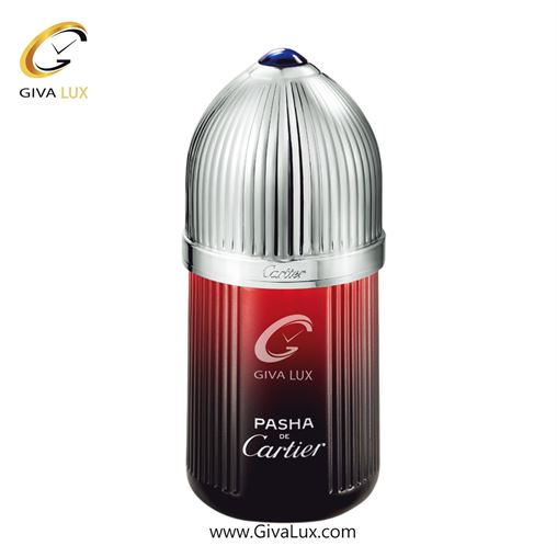   Cartier Pasha de Cartier Edition Noire Sport-1.jpg